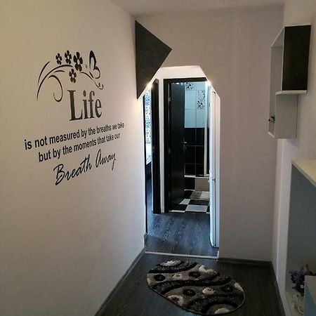 White Black Rooms Hunedoara Exteriör bild
